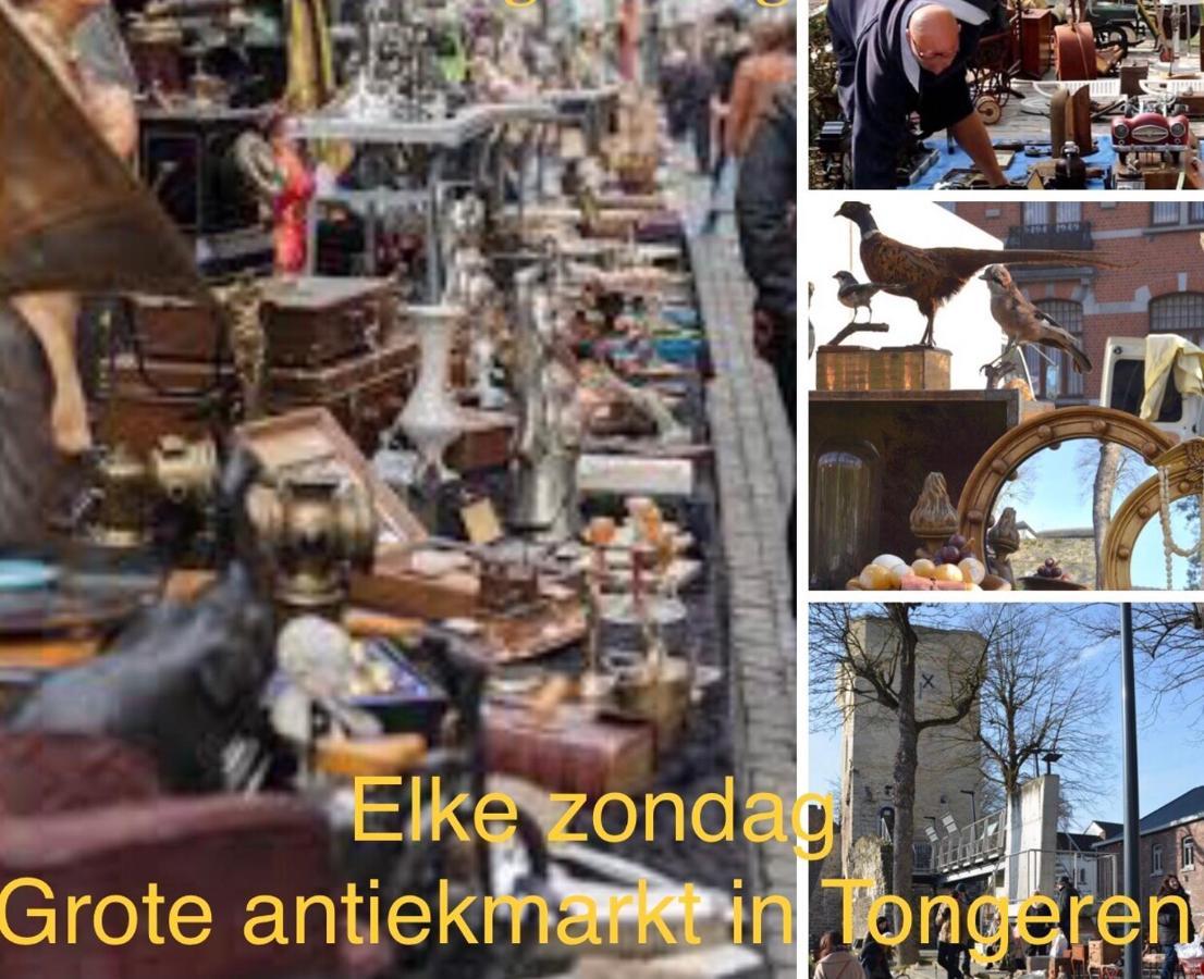 Vakantiehuisje Vds Tongeren Exterior foto